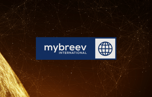 mybreev International Partner & Broker Program