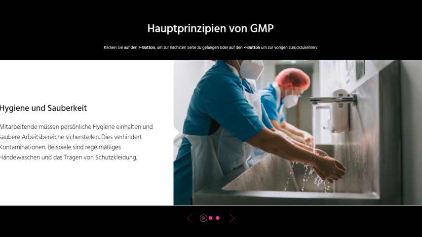 Good Manufacturing Practices (GMP) Grundlagen